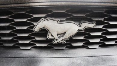 Logo del Mustang.