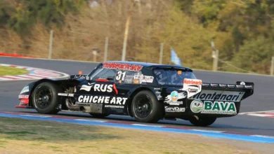 Falcon en la pista